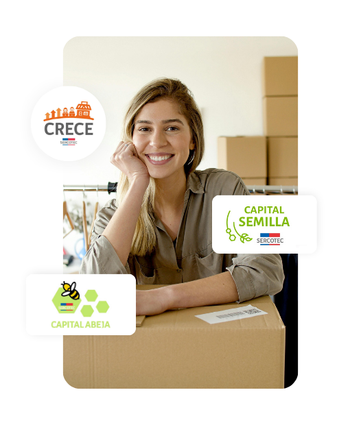 Diseño de página web para fondos SERCOTEC